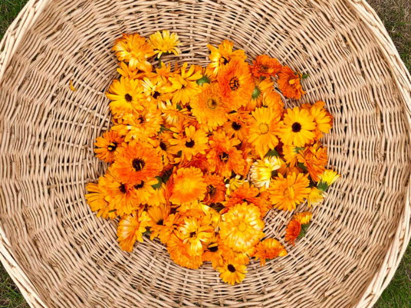 shutterstock_1508739683.jpg shutterstock_1508739683.jpg