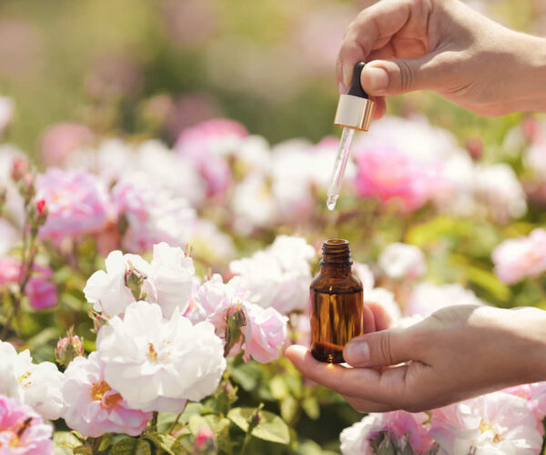 shutterstock_2313526023.jpg shutterstock_2313526023.jpg